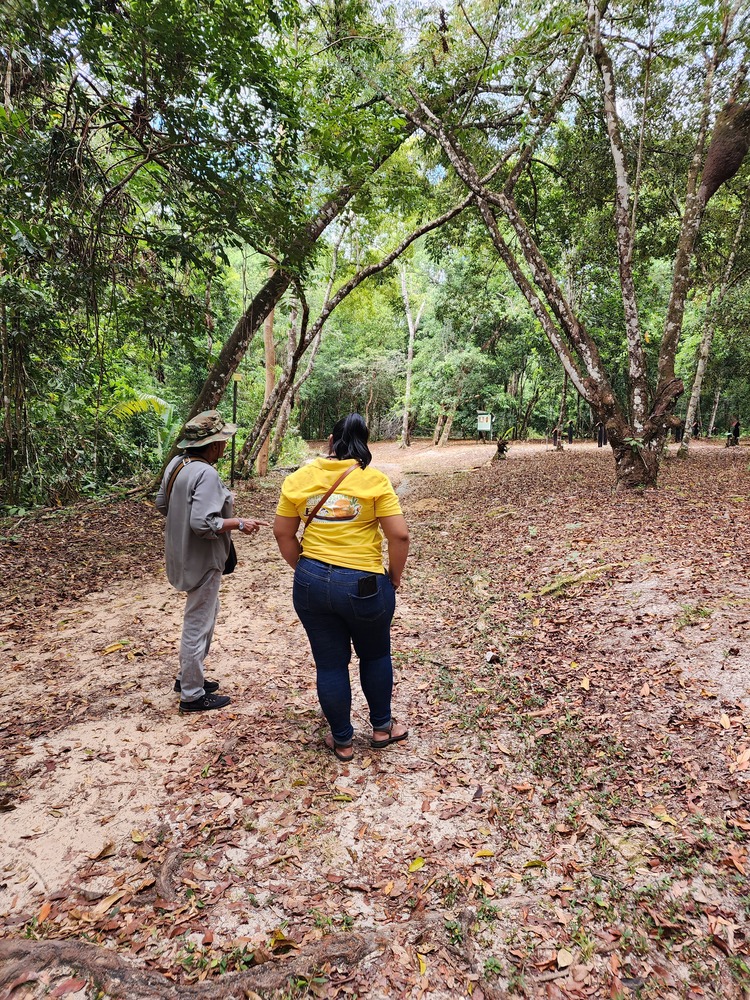 , Home 2, Impressive Suriname Travel N.V.