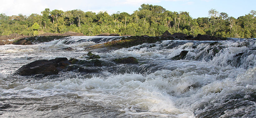 Suriname – 10 day package