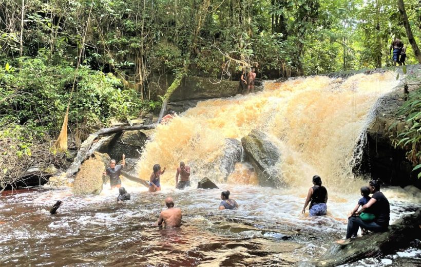 , Search result, Impressive Suriname Travel N.V.