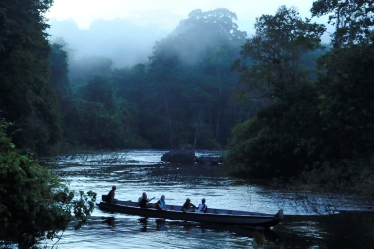 , Home 2, Impressive Suriname Travel N.V.